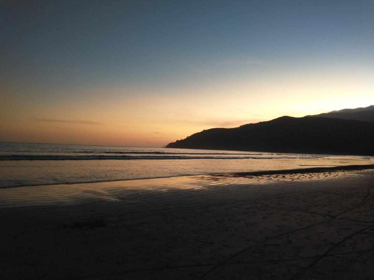 Mare Mansa Bare *